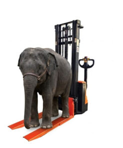 Thiết Bị Nâng Hạ Việt Nam là địa chỉ cung cấp xe nâng tay điện chất lượng 