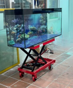 Xe nâng mặt bàn 500kg nâng cao 90cm 13 xe nang mat ban 500kg nang cao 1 5m q6