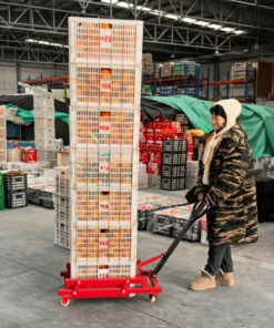 Xe nâng thùng nhựa giúp tiết kiệm công sức khi làm việc 