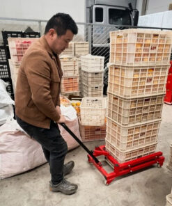 xe nang thung nhua 2 thietbinangha