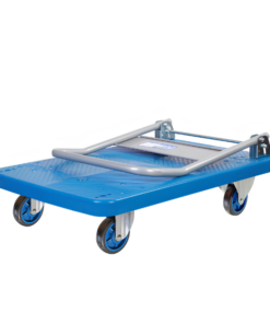 xe nang hang mat ban nhua 300kg 4